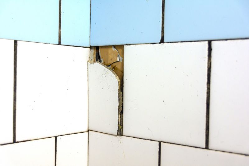 Damaged Tile Repair
